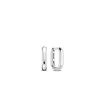 Oval Link Earrings