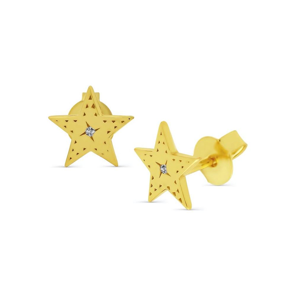 Western Star Stud Earring