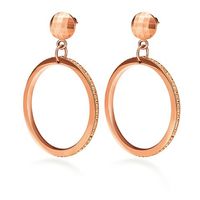 Classy Reflection Earrings