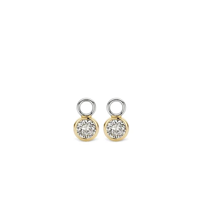 Golden Sparkle Ear Charms