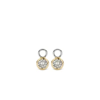 Golden Sparkle Ear Charms