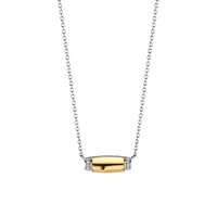 Fortune Necklace