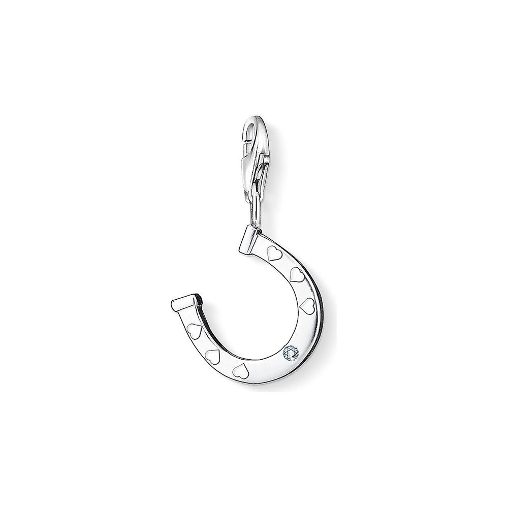 Horse shoe Charm