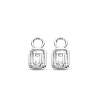 Clear Gem Ear Charms