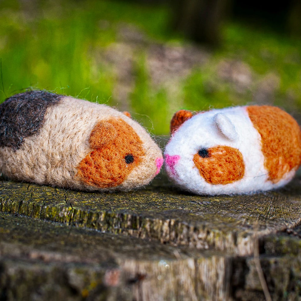 Needle Felting Kit - Guinea Pigs