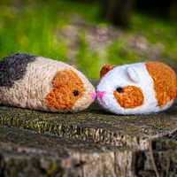 Needle Felting Kit - Guinea Pigs
