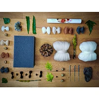 Needle Felting Kit - Guinea Pigs
