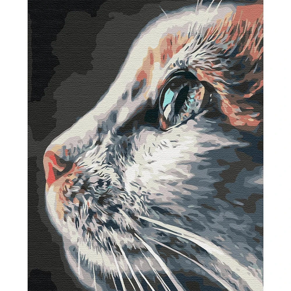 Paint by Numbers Kit