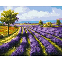 Paint by Numbers Kit - "Lavender Field"