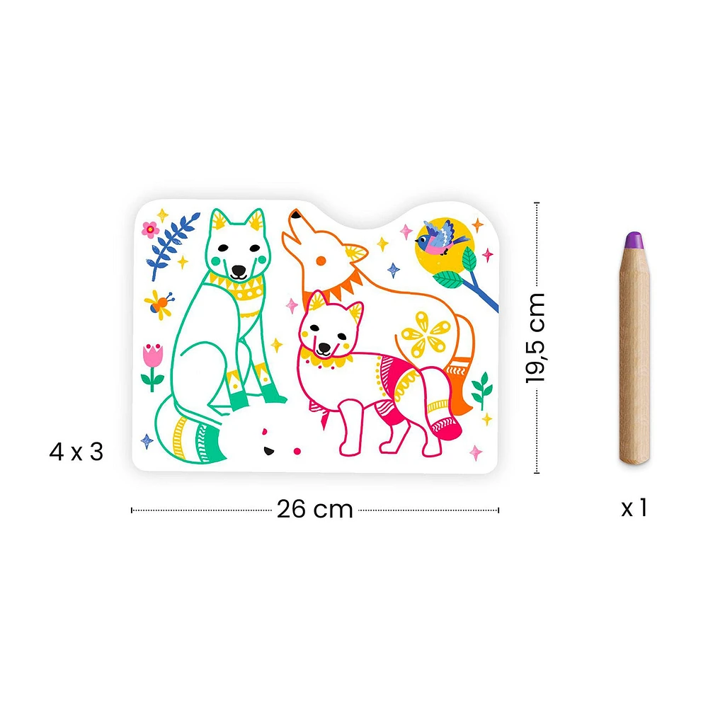 Colour Reveal Pictures - Forest Families