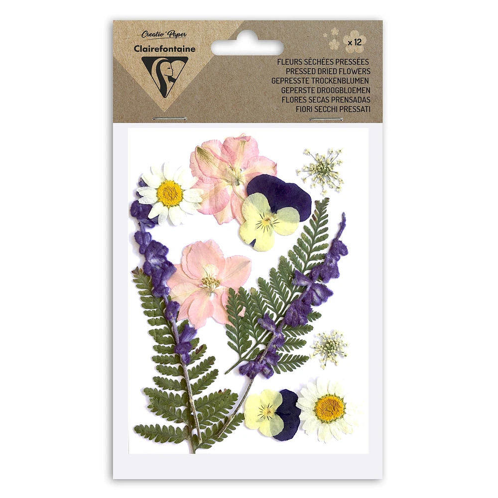 12-Pack Assorted Dried Flowers - Multi-Coloured