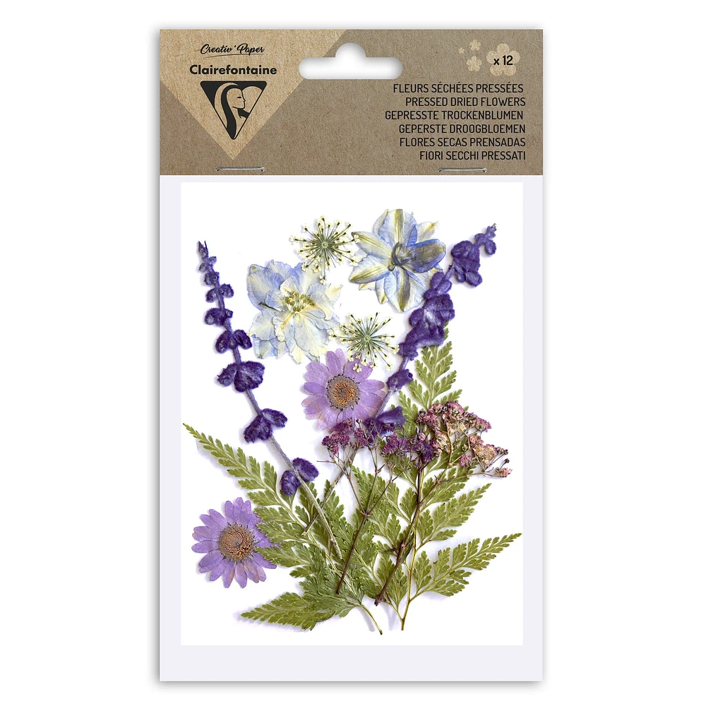 12-Pack Assorted Dried Flowers - Multi-Coloured