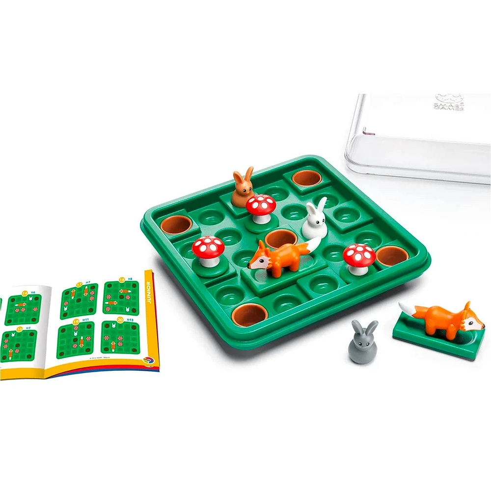 Logic Game — Hares & Foxes