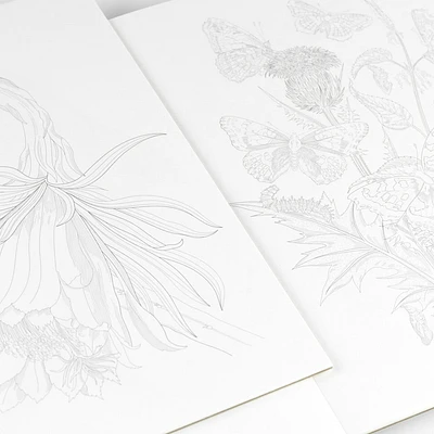 Artists' Colouring Book: Natural History