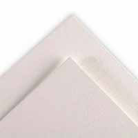 Rouleau papier toilé - 10 oz