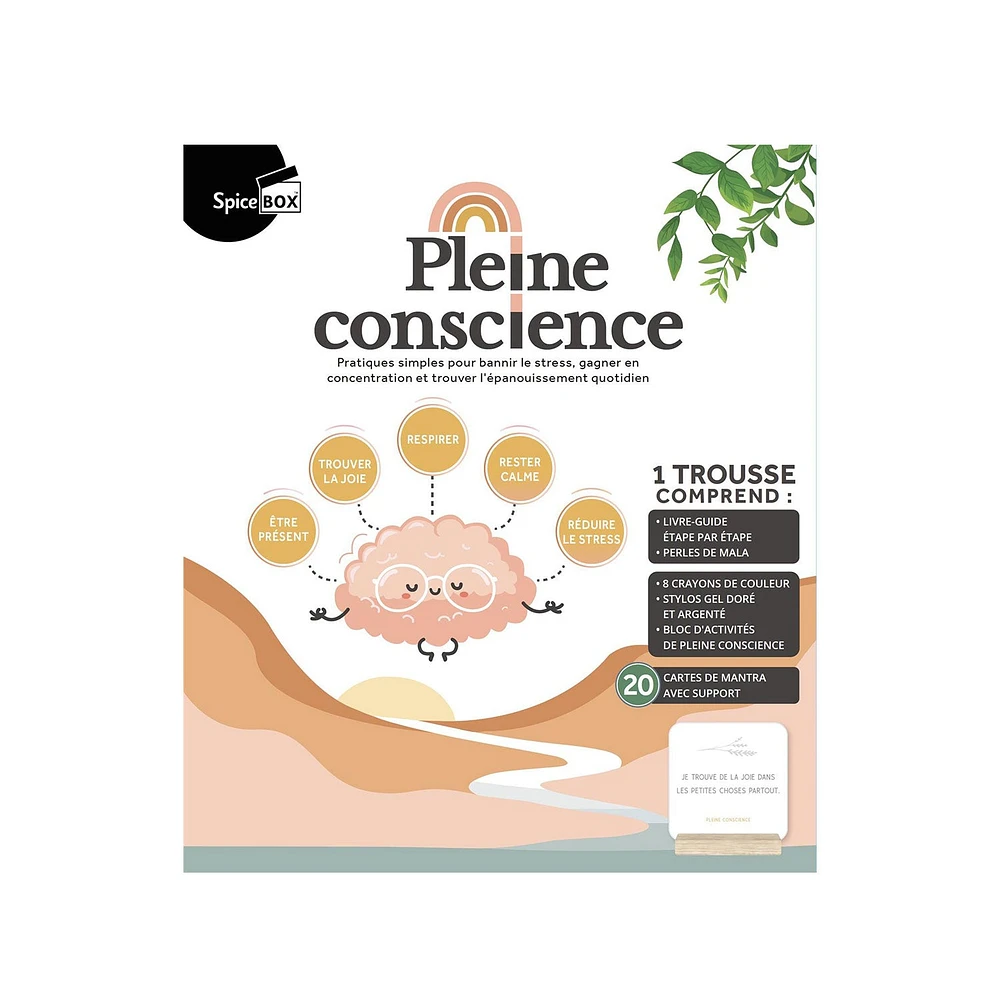 Pleine conscience - French Ed.