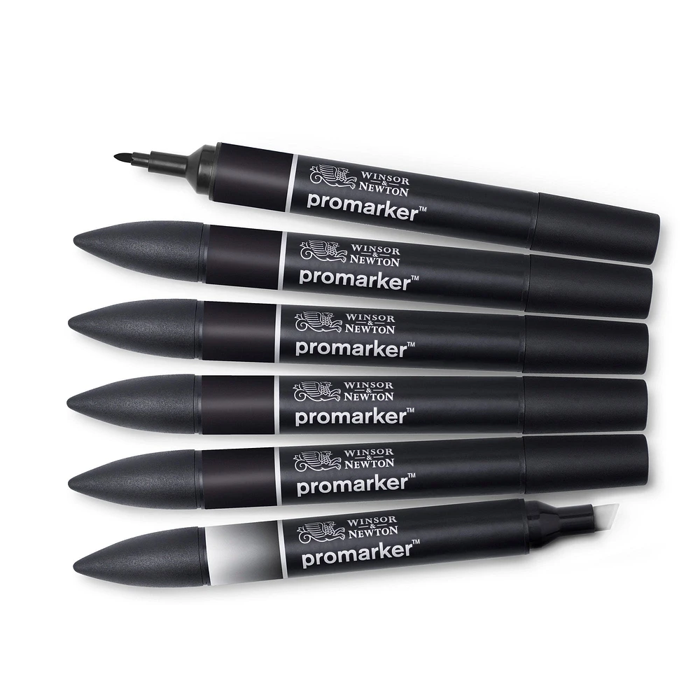 Ens. 6 marqueurs Promarker à double pointe