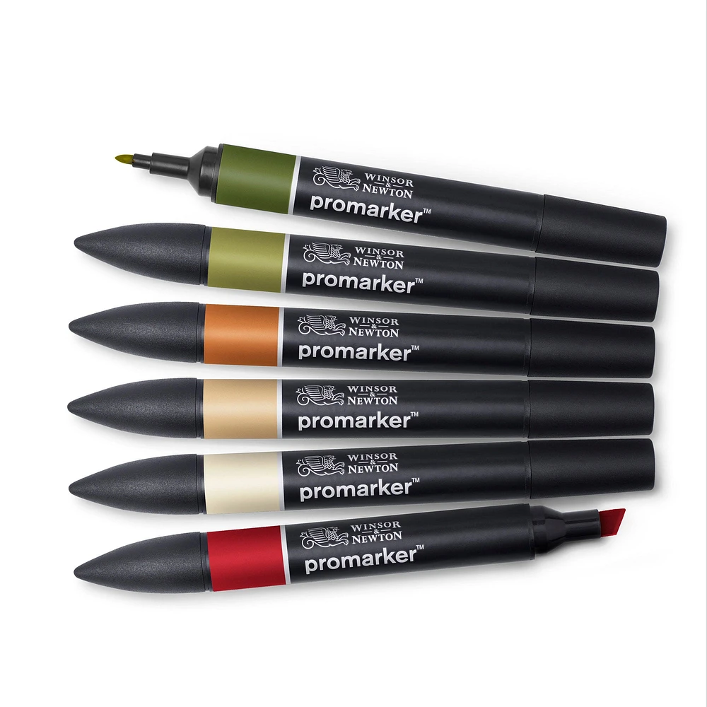 6-Piece Double-Tip Promarker Marker Set