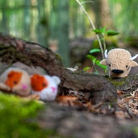 Needle Felting Kit - Bison