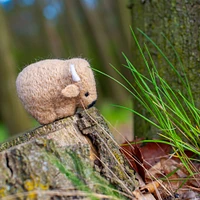 Needle Felting Kit - Bison
