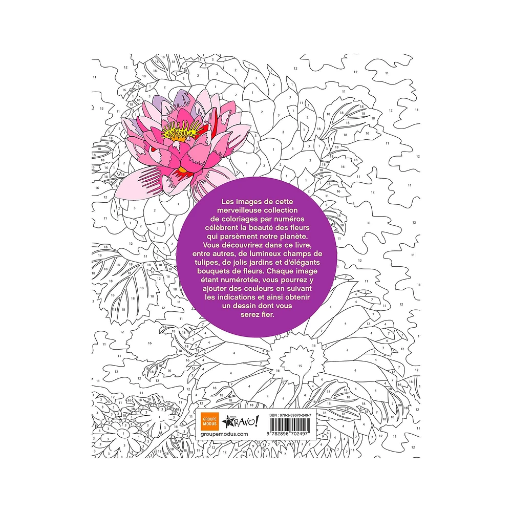 Coloriage par numéros : Fleurs - French Ed.