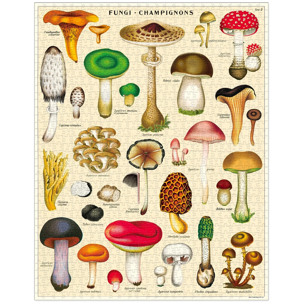 1,000-Piece Puzzle - "Mushrooms"