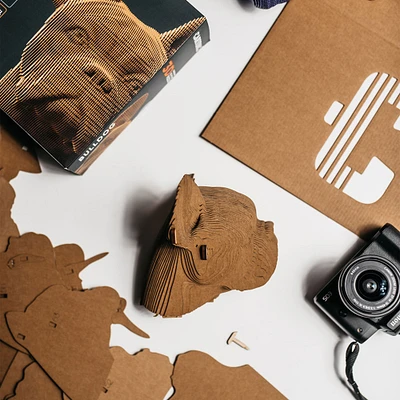 3D Carboard Puzzle