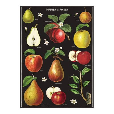 Papier décoratif - pommes et poires