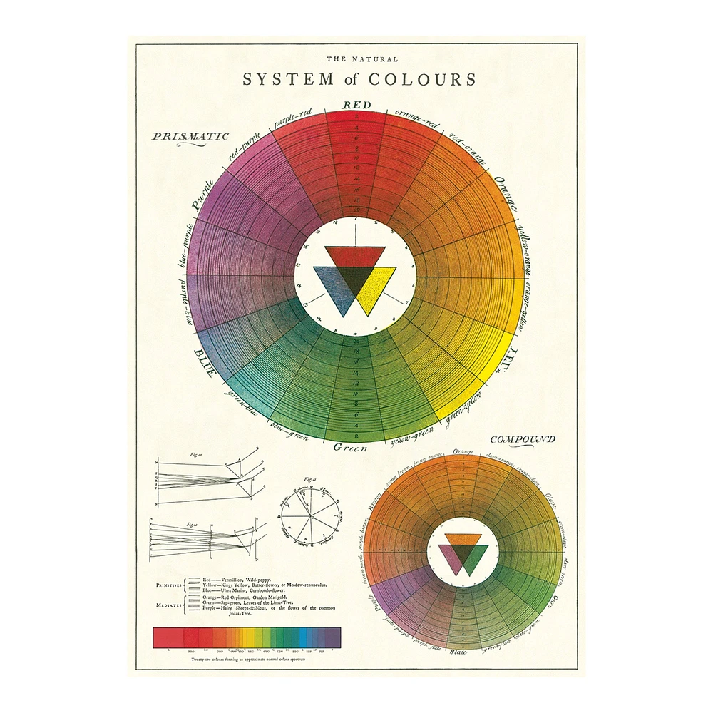 Decorative Wrap - Colour Wheel