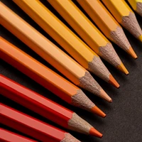 Ens. 60 crayons de couleur Artisto Professionnel