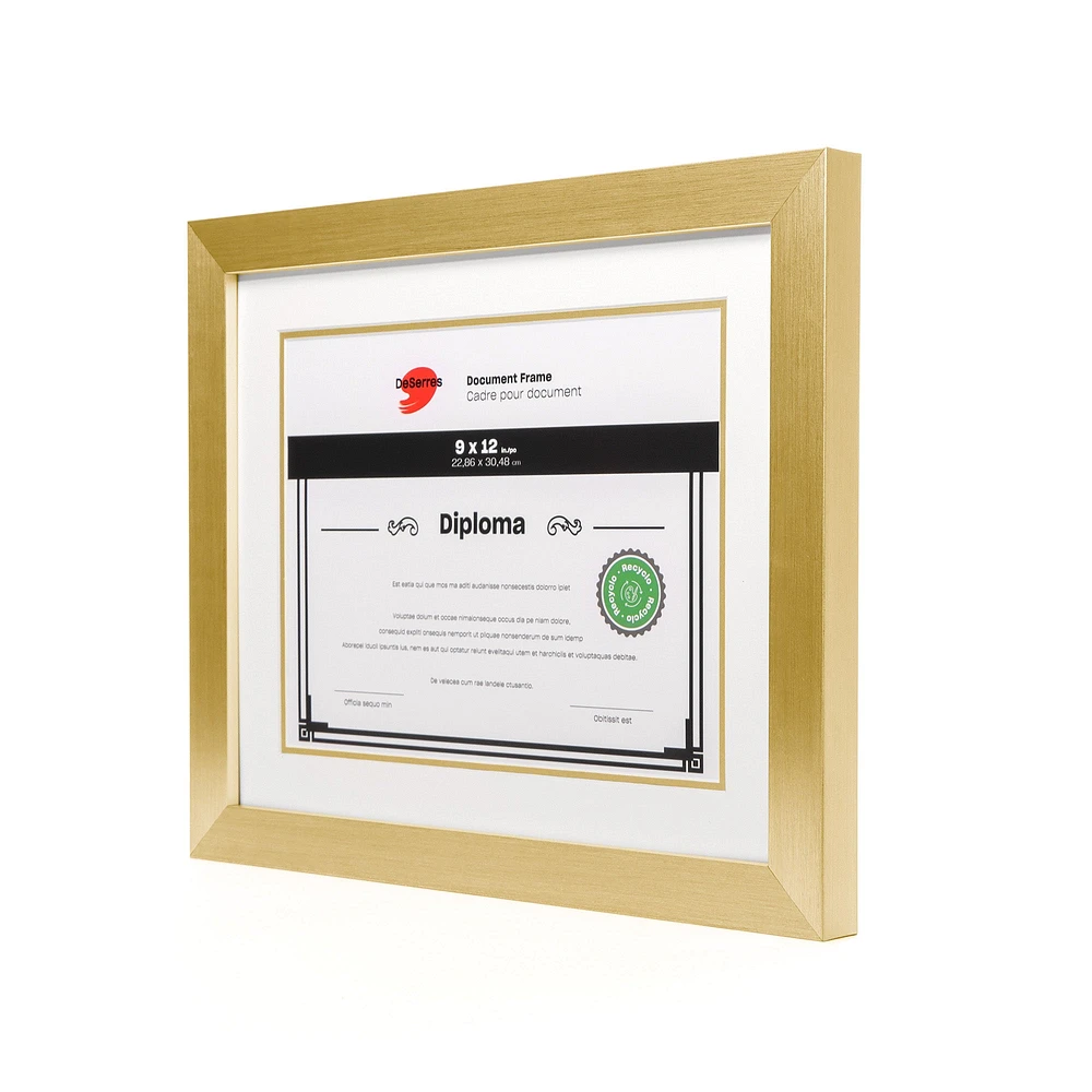 Double Mat Document Frame - Gold