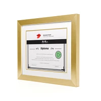 Double Mat Document Frame - Gold
