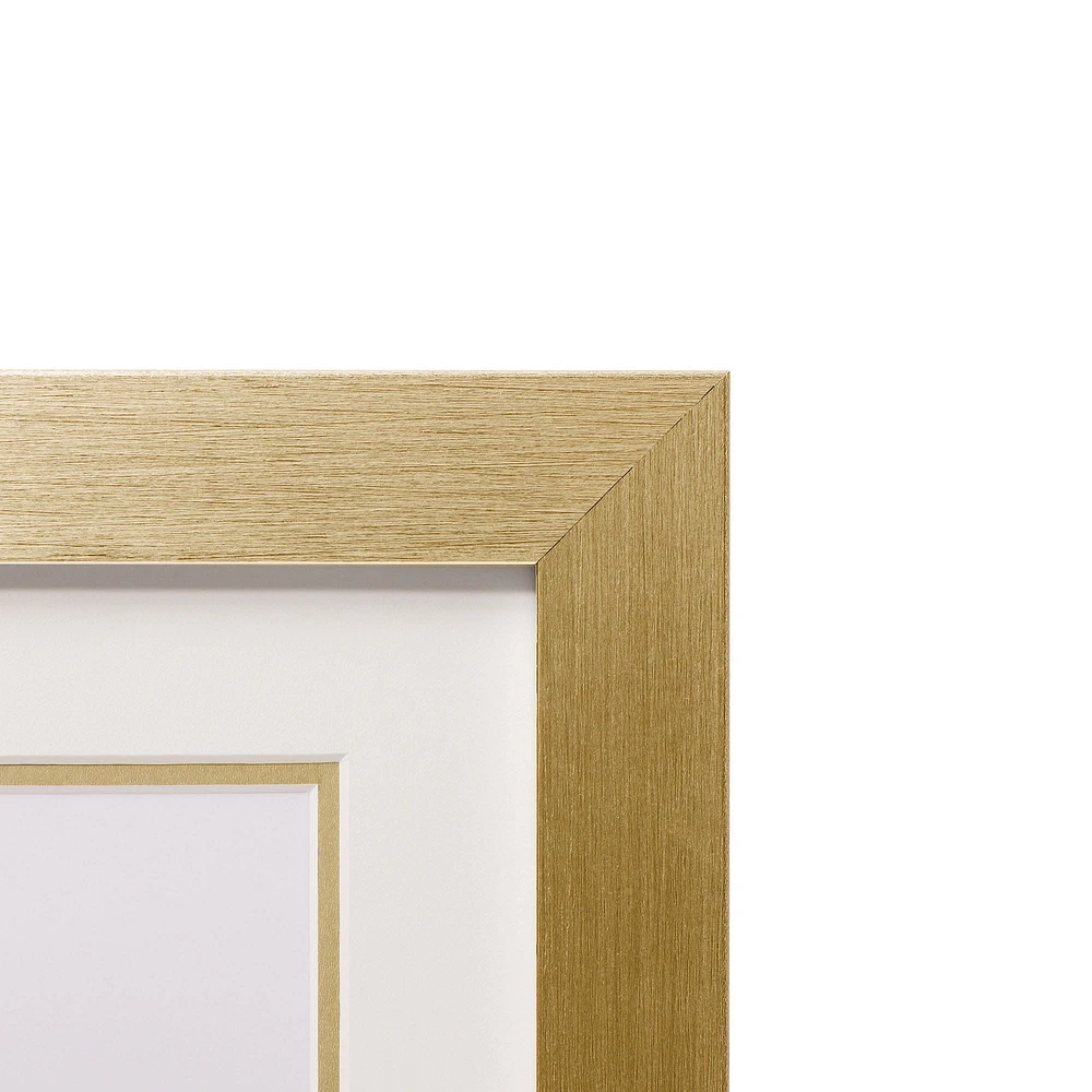 Double Mat Document Frame - Gold