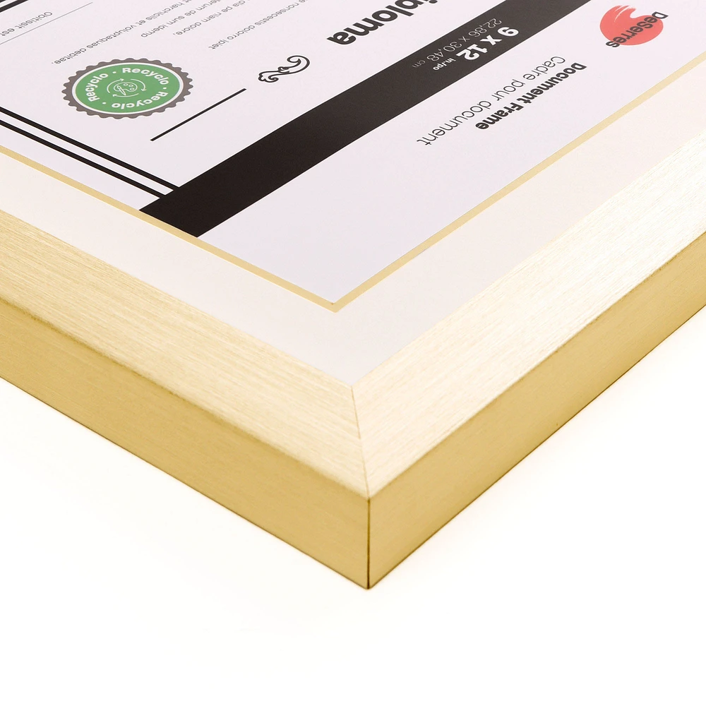 Double Mat Document Frame - Gold