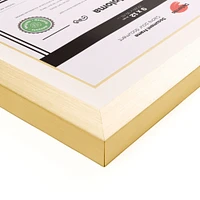 Double Mat Document Frame - Gold