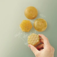 DIY Soap Kit - Honey