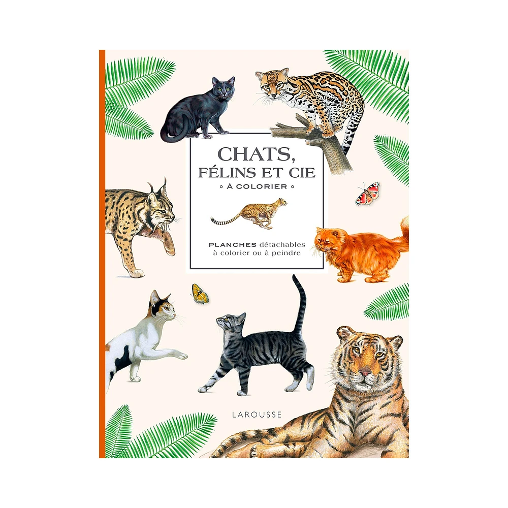 Chat, félins et cie à colorier - French Ed.