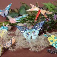 Patterned Origami Sheets - Insects