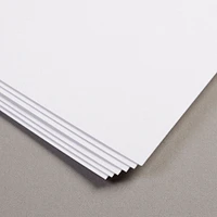 Bristol Paper Pouch - Extra White