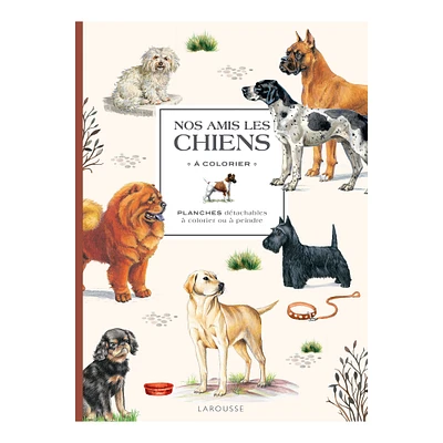 Nos amis les chiens à colorier - French Ed.