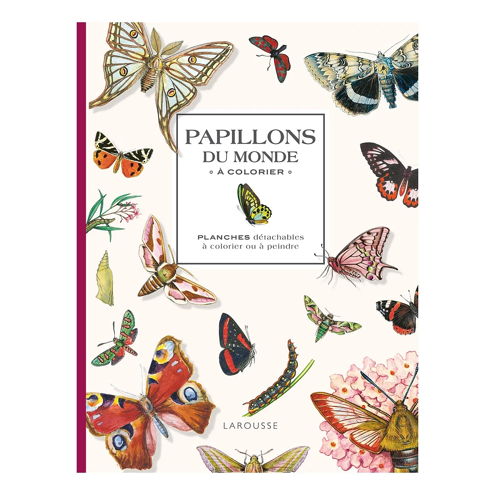 Papillons du monde à colorier - French Ed.