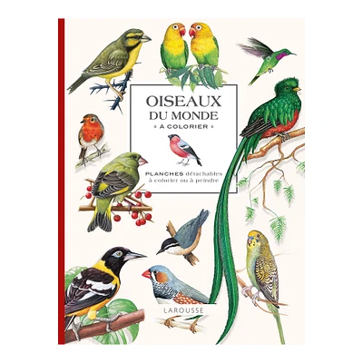 Oiseaux du monde à colorier