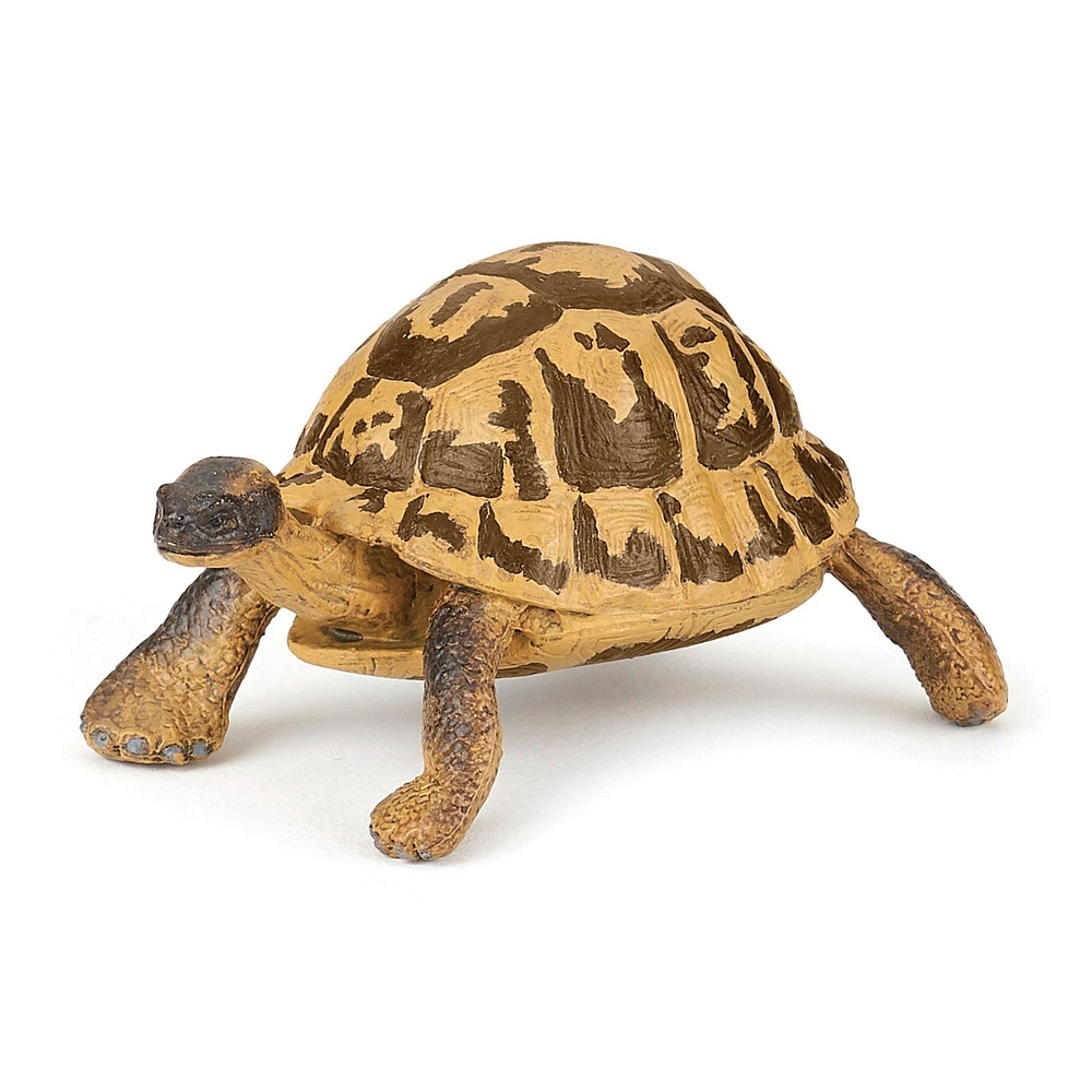 Figurine animal - tortue d'Hermann