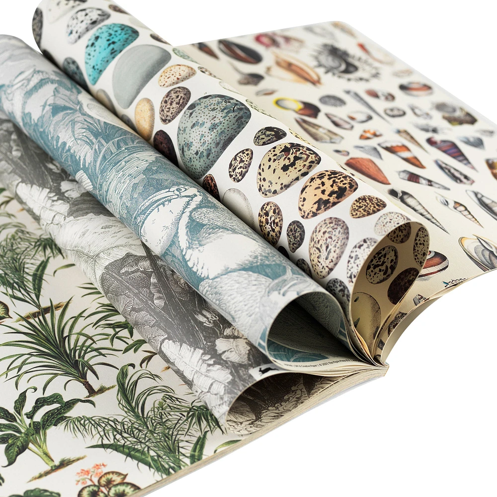 Gift & Creative Paper Book - Natural History