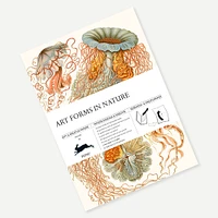 Papiers cadeaux & créatifs : Formes d'art dans la nature