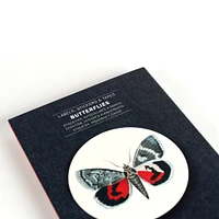Label, Stickers & Tapes: Butterflies