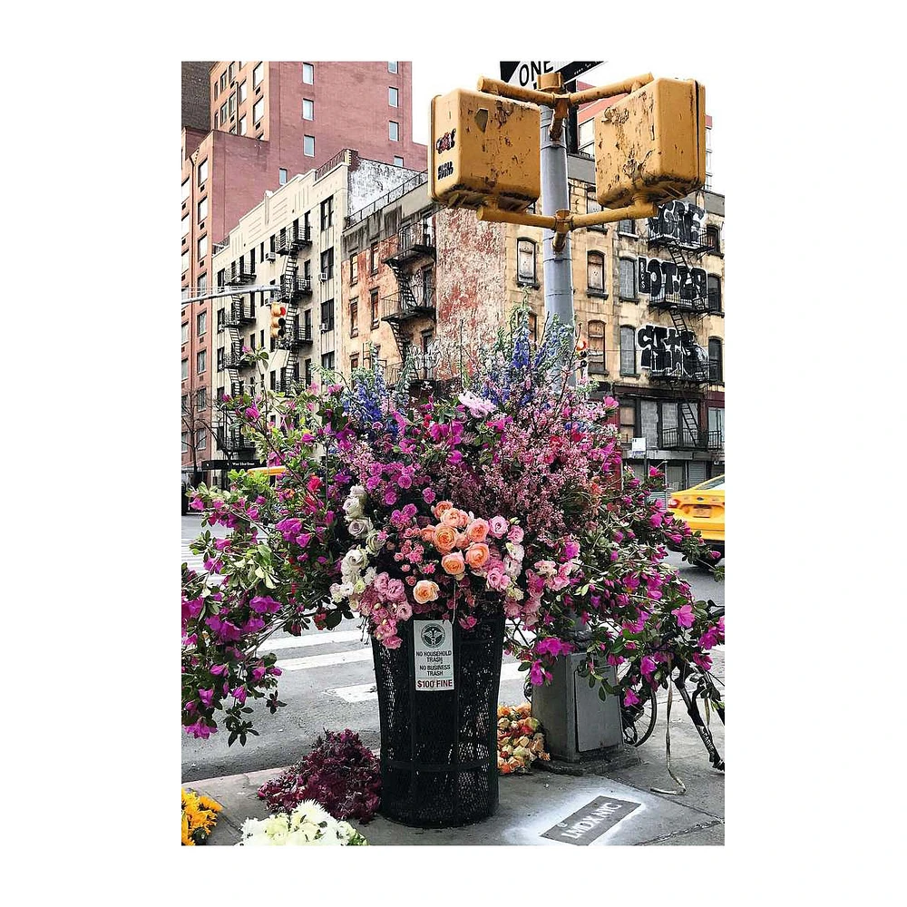 Casse-tête 300 mcx - « Fleurs à New York »