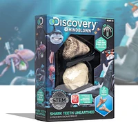 Mini Shark Tooth Excavation Kit