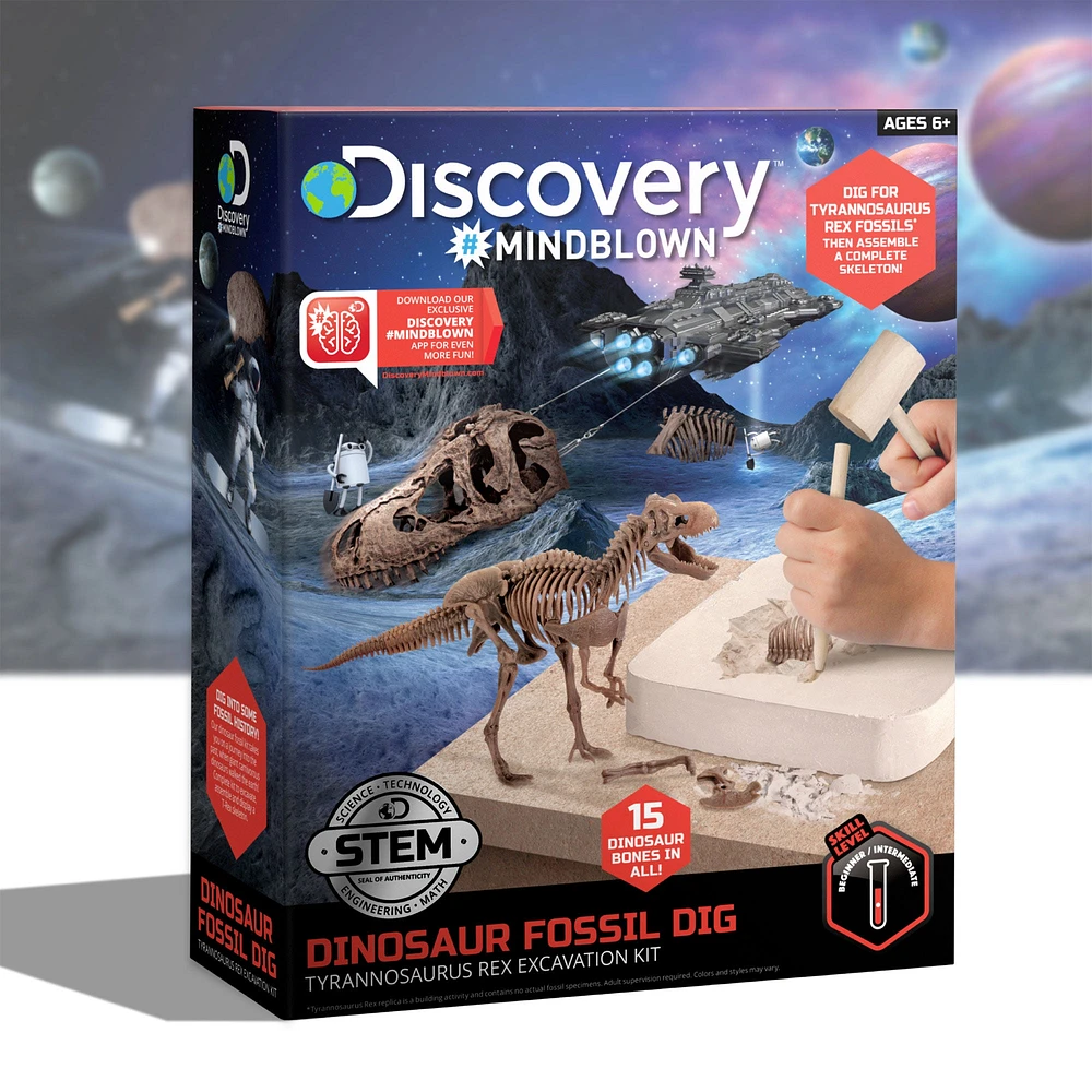 Kit d'excavation squelette dinosaure 3D