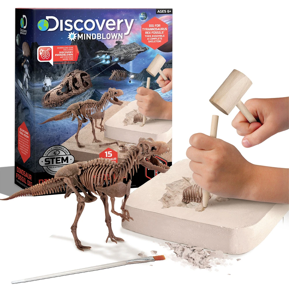 3D Dino Skeleton Excavation Kit